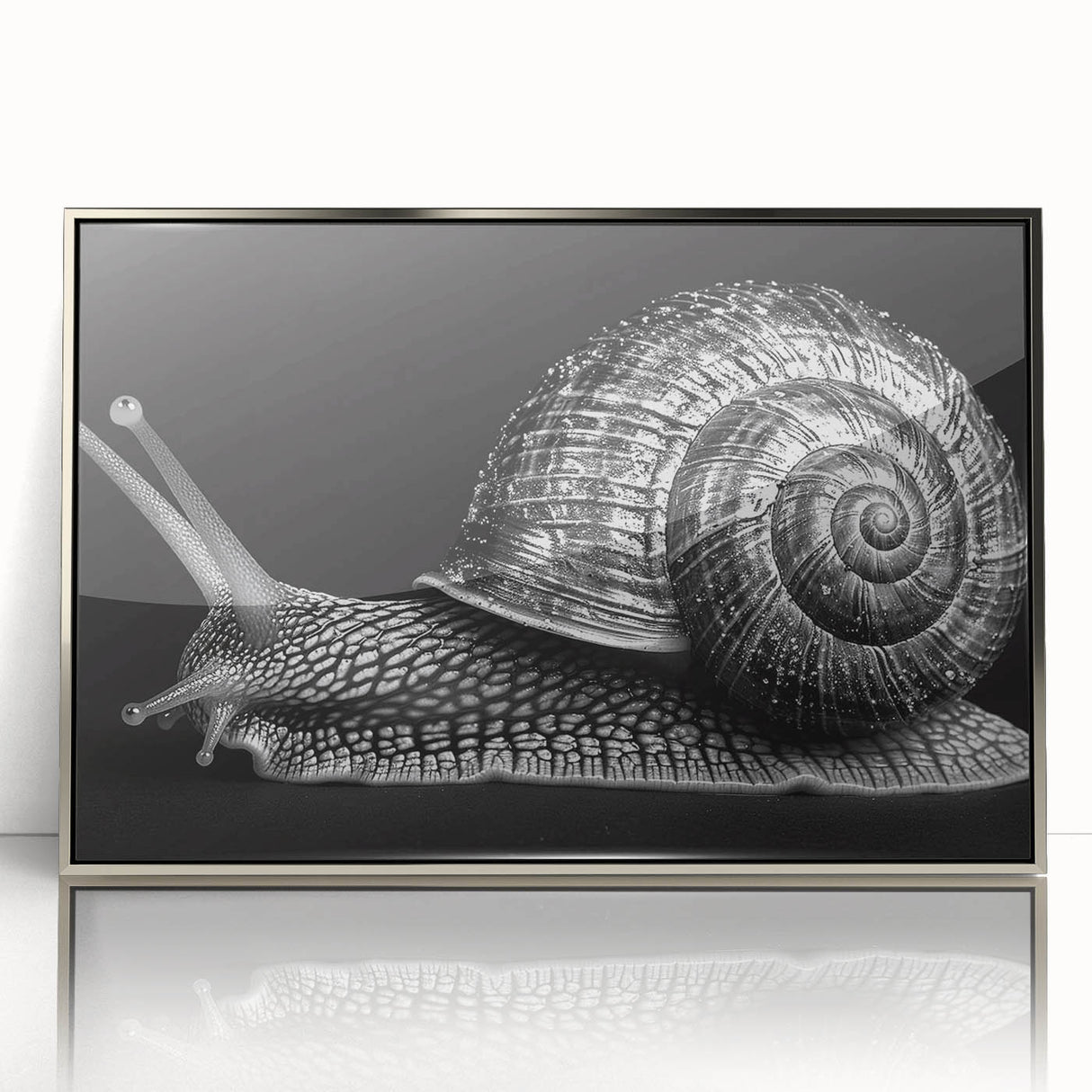 Framed wall art featuring a whimsical snail design with vibrant colors, set in a sleek silver frame, perfect for enhancing home decor and adding a playful touch.
