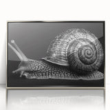 Framed wall art featuring a whimsical snail design with vibrant colors, set in a sleek silver frame, perfect for enhancing home decor and adding a playful touch.