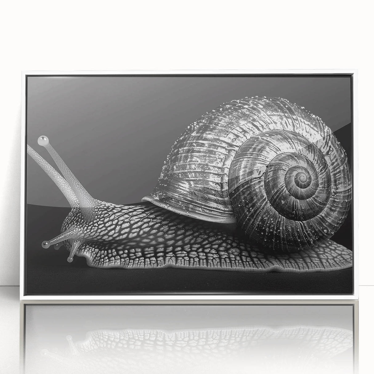 Framed wall art featuring a whimsical snail design in vibrant colors, set against a white background, ideal for adding charm to modern decor or children's rooms.