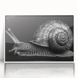 Framed wall art featuring a whimsical snail design in vibrant colors, set against a white background, ideal for adding charm to modern decor or children's rooms.