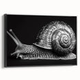 Framed wall art featuring a stylized snail design in vibrant colors, displayed from a black side view, perfect for animal-themed decor. Ideal for nature lovers.