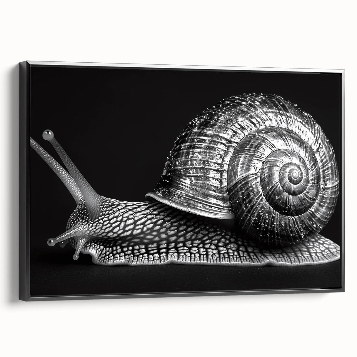 Framed wall art featuring a stylized snail design in vibrant colors, displayed from a black side view, perfect for animal-themed decor. Ideal for nature lovers.