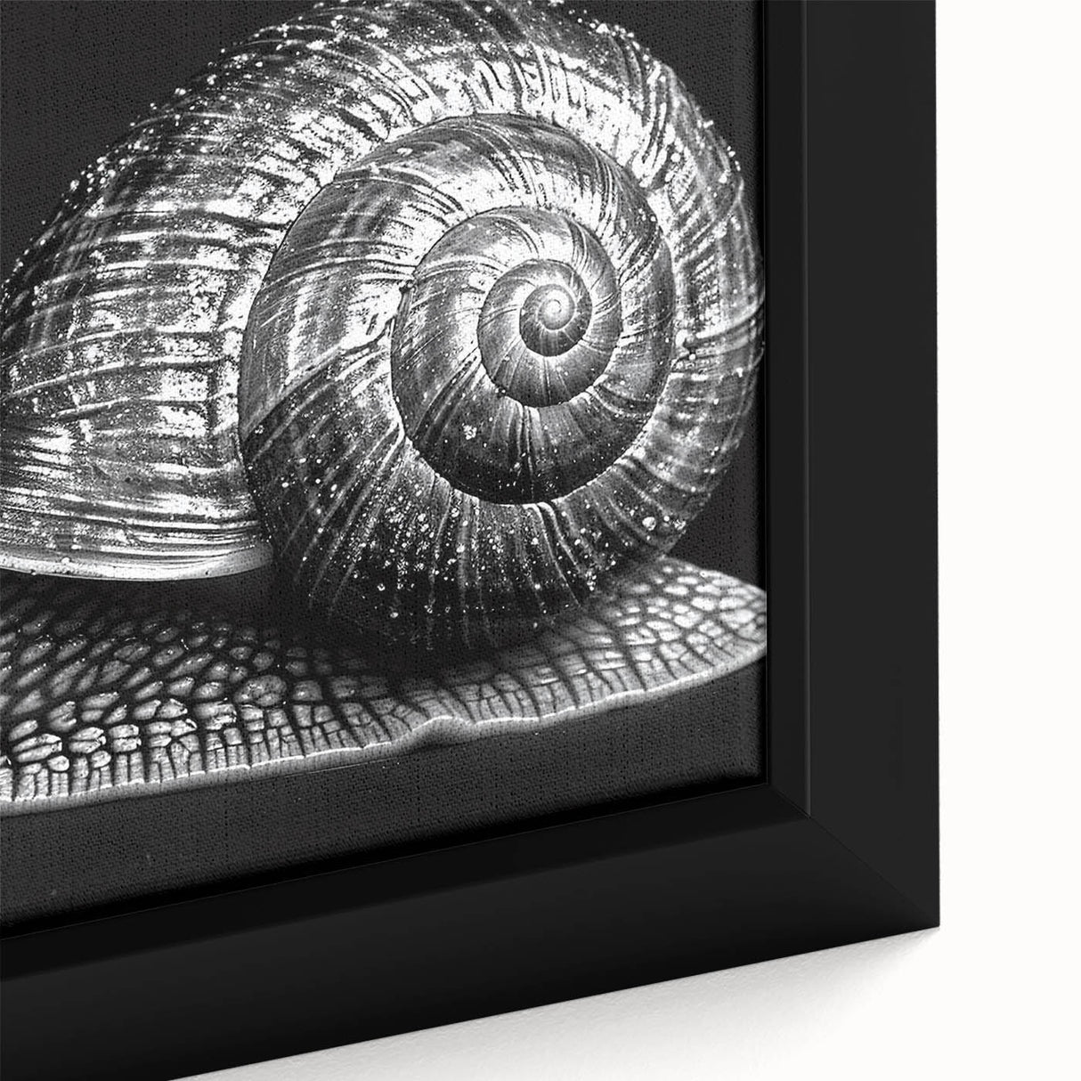 Close-up of a framed canvas featuring a vibrant snail design from the 'Animals: A Wild Life' collection, showcasing intricate details and vivid colors ideal for nature-themed decor.