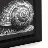 Close-up of a framed canvas featuring a vibrant snail design from the 'Animals: A Wild Life' collection, showcasing intricate details and vivid colors ideal for nature-themed decor.