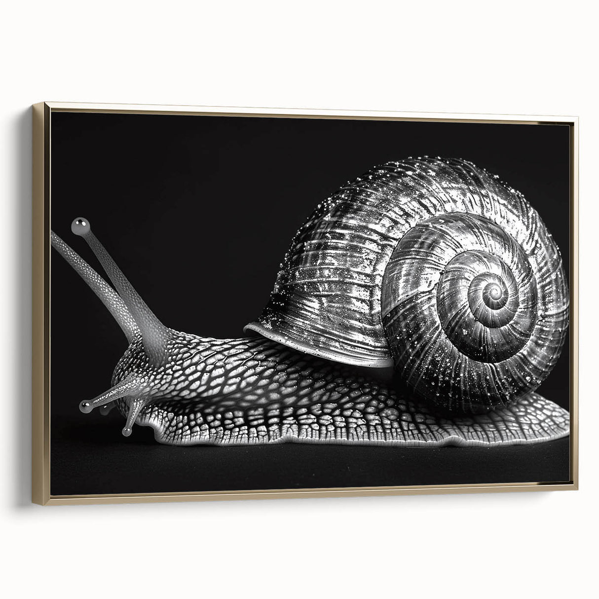 Framed canvas wall art featuring a whimsical snail design with vibrant colors and intricate details, perfect for adding a touch of nature-inspired decor to any room.