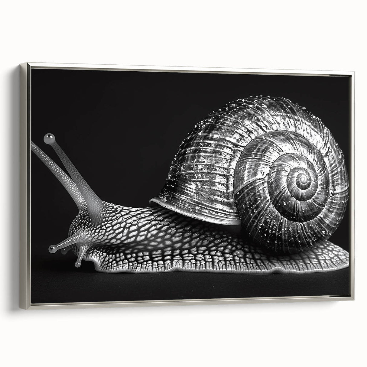 Framed wall art featuring a whimsical silver snail design on canvas, showcasing intricate details and vibrant colors, ideal for adding charm to any decor.