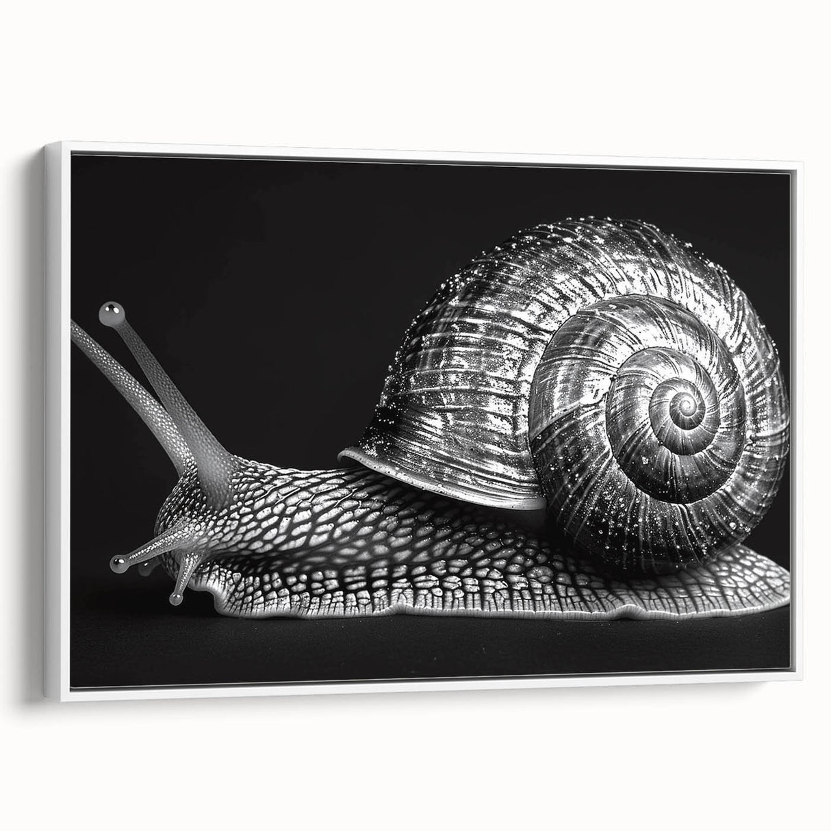 Framed canvas wall art featuring a whimsical snail design in a vibrant color palette, showcasing intricate details and textures, perfect for nature-themed decor.