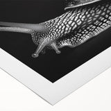 Colorful rolled canvas art showcasing a whimsical snail design, ideal for nature lovers and home decor enthusiasts, featuring vibrant hues and intricate details.
