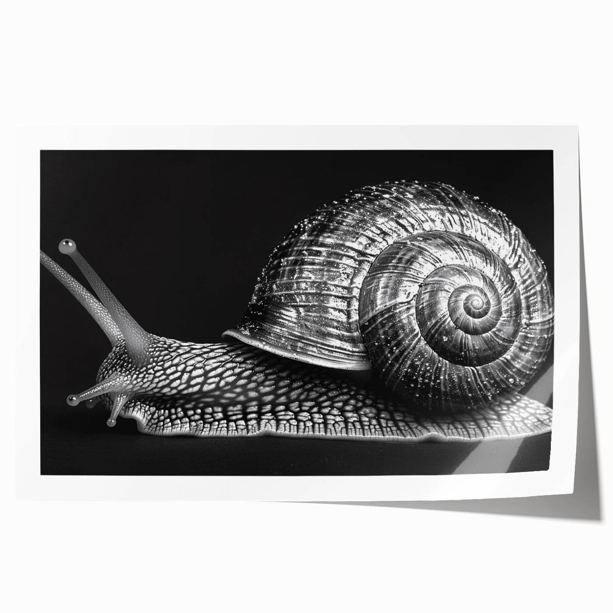 Colorful snail design wall art print on textured paper, showcasing vibrant hues and intricate details, ideal for nature lovers' home decor.
