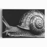 Stretched canvas wall art featuring a whimsical snail design in vibrant colors, perfect for adding a touch of nature-inspired decor to any space. Ideal for children's rooms or nature lovers.