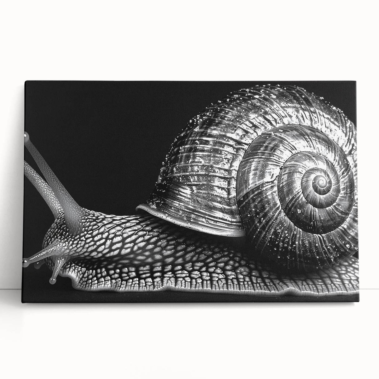 Stretched canvas wall art featuring a vibrant snail design, showcasing intricate details and bright colors, perfect for adding a whimsical touch to any decor.