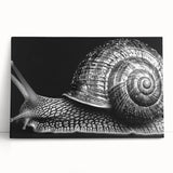 Stretched canvas wall art featuring a vibrant snail design, showcasing intricate details and bright colors, perfect for adding a whimsical touch to any decor.