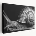 Stretched canvas wall art showcasing a vibrant snail design, featuring intricate details and colors, perfect for adding a whimsical touch to home decor.