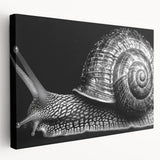 Stretched canvas wall art showcasing a vibrant snail design, featuring intricate details and colors, perfect for adding a whimsical touch to home decor.