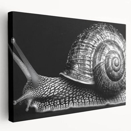 Stretched canvas wall art showcasing a vibrant snail design, featuring intricate details and colors, perfect for adding a whimsical touch to home decor.