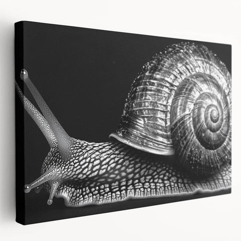 Stretched canvas wall art showcasing a vibrant snail design, featuring intricate details and colors, perfect for adding a whimsical touch to home decor.
