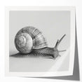 Glossy wall art featuring a whimsical snail design from the "Animals a Wild Life" collection, showcasing vibrant colors and intricate details, perfect for nature-inspired decor.