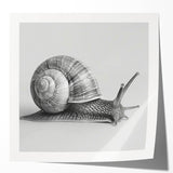 Glossy wall art featuring a whimsical snail design from the "Animals a Wild Life" collection, showcasing vibrant colors and intricate details, perfect for nature-inspired decor.