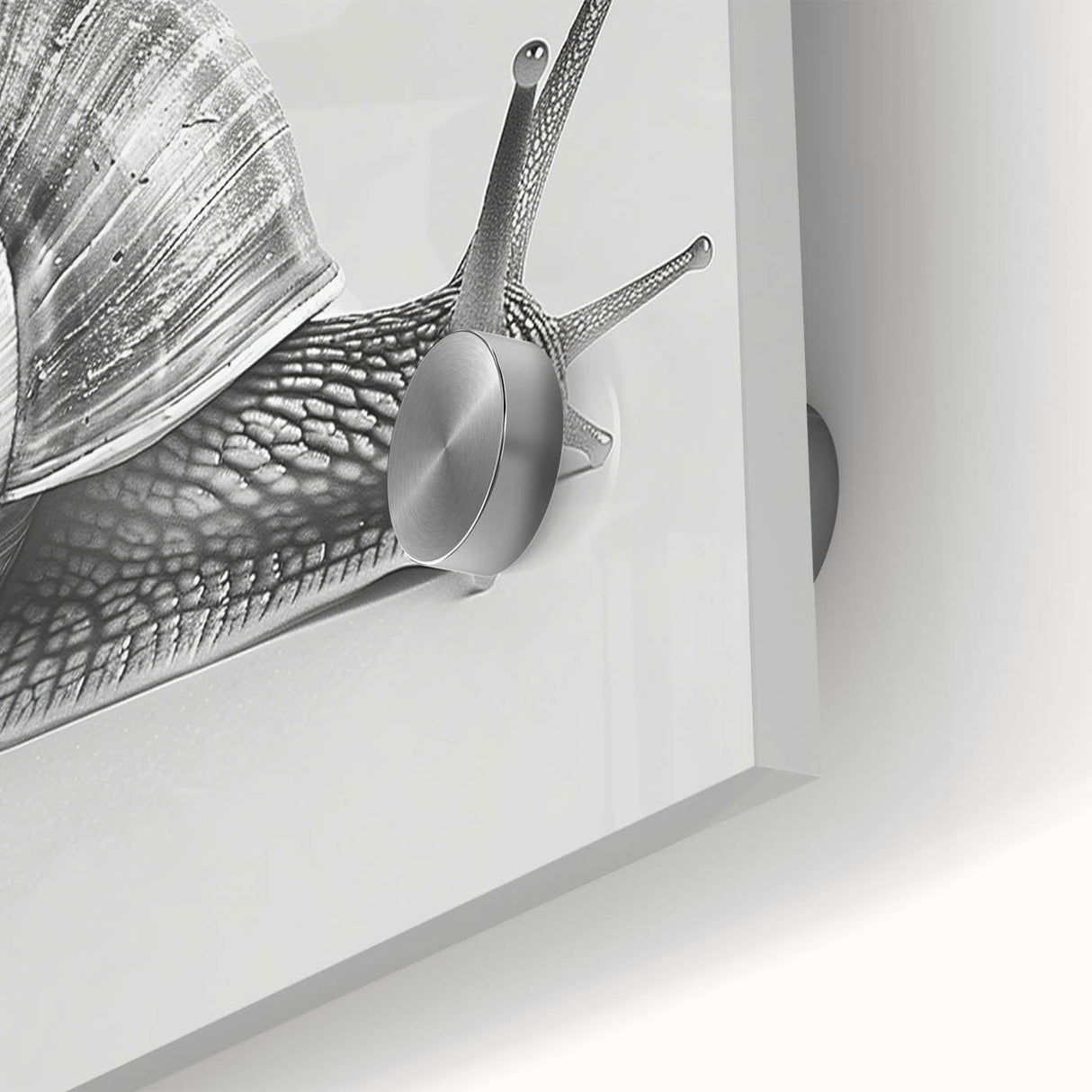 Close-up of a colorful snail design on acrylic glass, showcasing intricate details and vibrant patterns, ideal for nature-themed wall art decor.