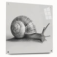Acrylic wall art design featuring a detailed side view of a vibrant snail, showcasing intricate patterns and colors, ideal for animal-themed decor.