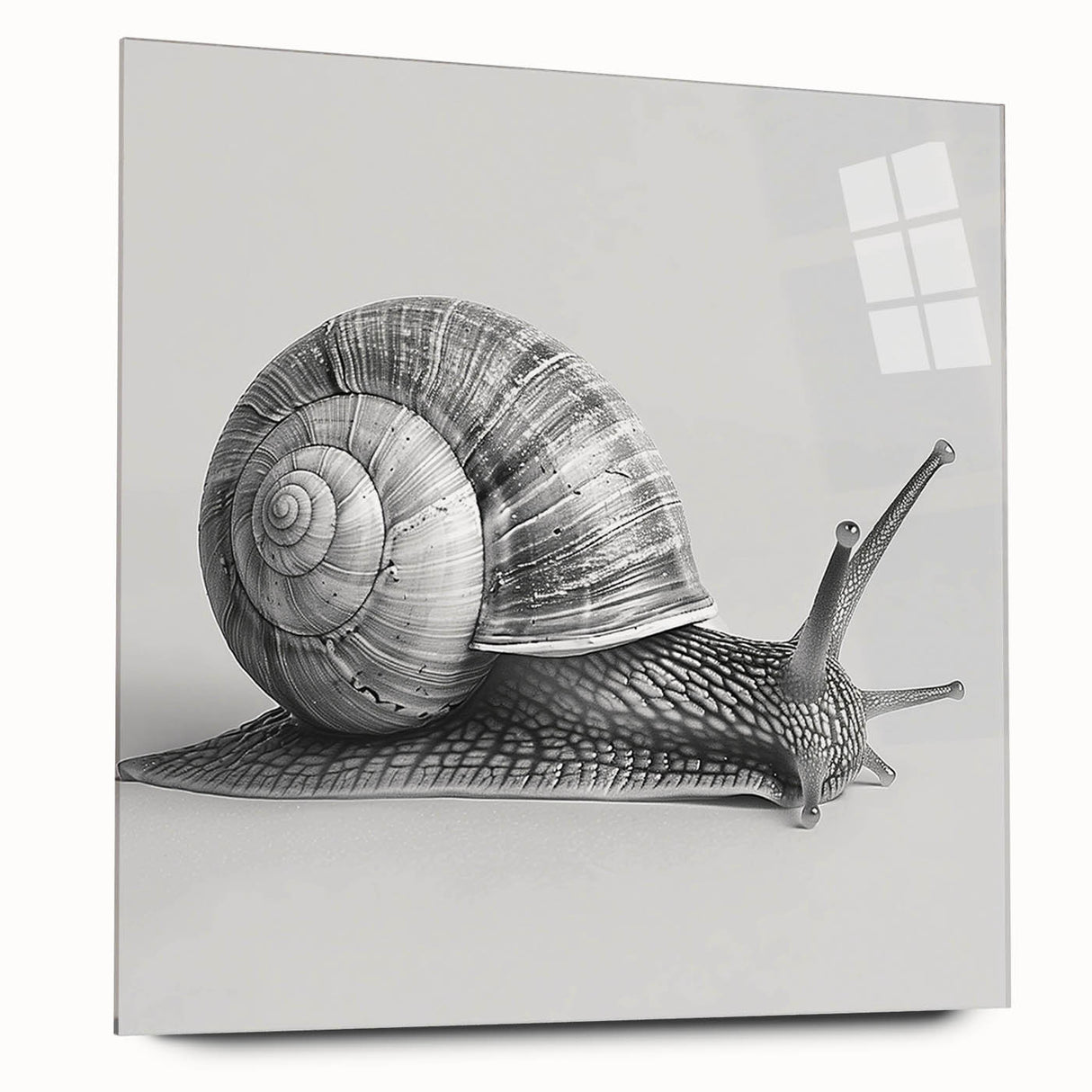 Colorful acrylic glass wall art piece showcasing a whimsical snail design, perfect for nature enthusiasts, displayed without pins for a sleek finish.