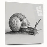 Colorful acrylic glass wall art piece showcasing a whimsical snail design, perfect for nature enthusiasts, displayed without pins for a sleek finish.