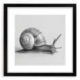 Framed wall art featuring a whimsical snail design in vibrant colors, showcasing intricate details and a black mat, perfect for animal-themed decor.