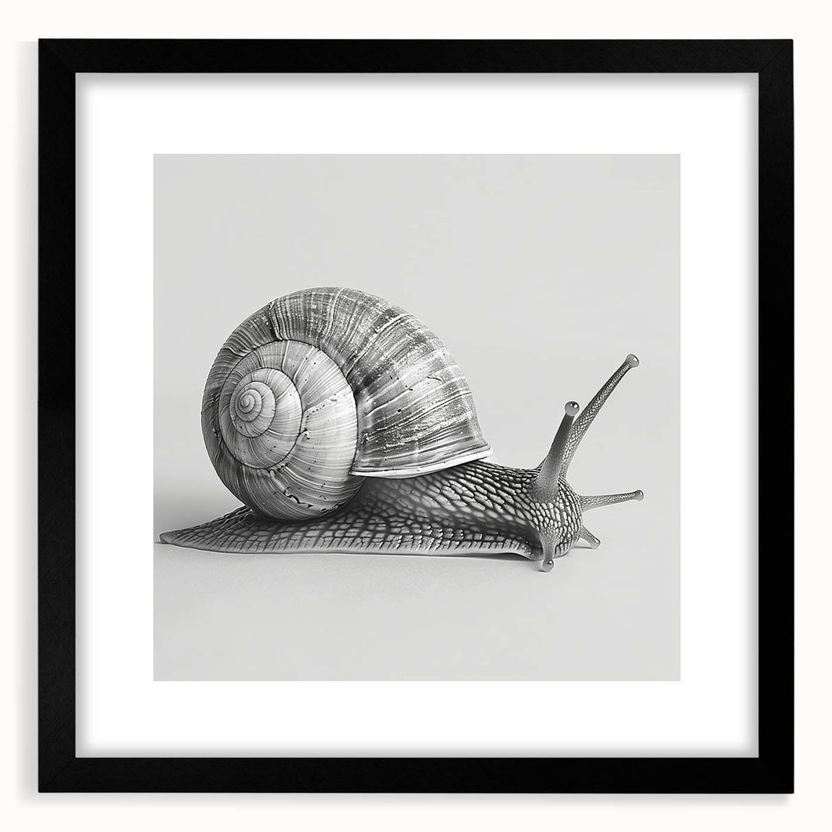 Framed wall art featuring a whimsical snail design in vibrant colors, showcasing intricate details and a black mat, perfect for animal-themed decor.