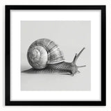 Framed wall art featuring a whimsical snail design in vibrant colors, showcasing intricate details and a black mat, perfect for animal-themed decor.