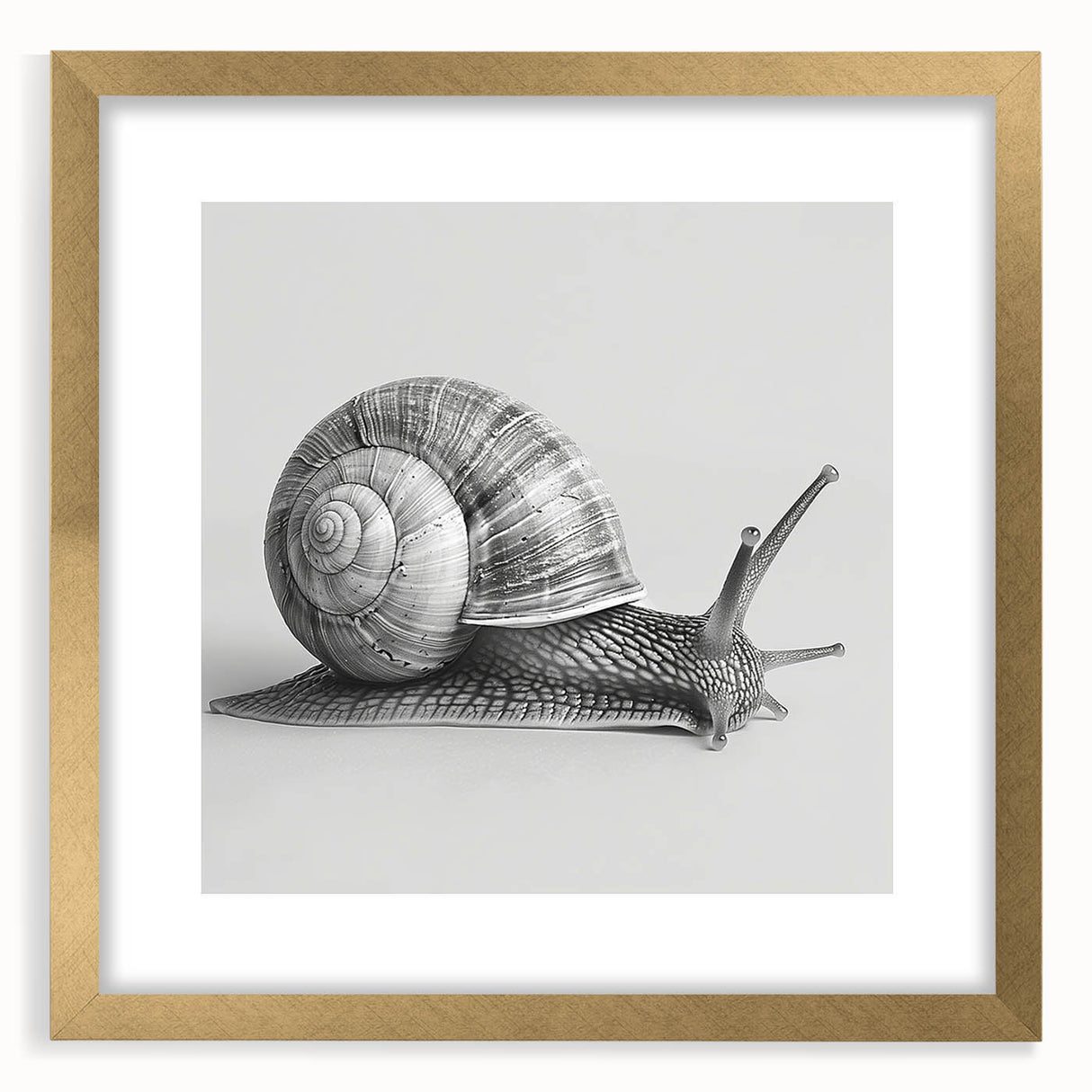 Gold-framed wall art showcasing a detailed snail design from the Animals A Wild Life collection, featuring a white mat for a sophisticated look.