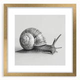 Gold-framed wall art showcasing a detailed snail design from the Animals A Wild Life collection, featuring a white mat for a sophisticated look.