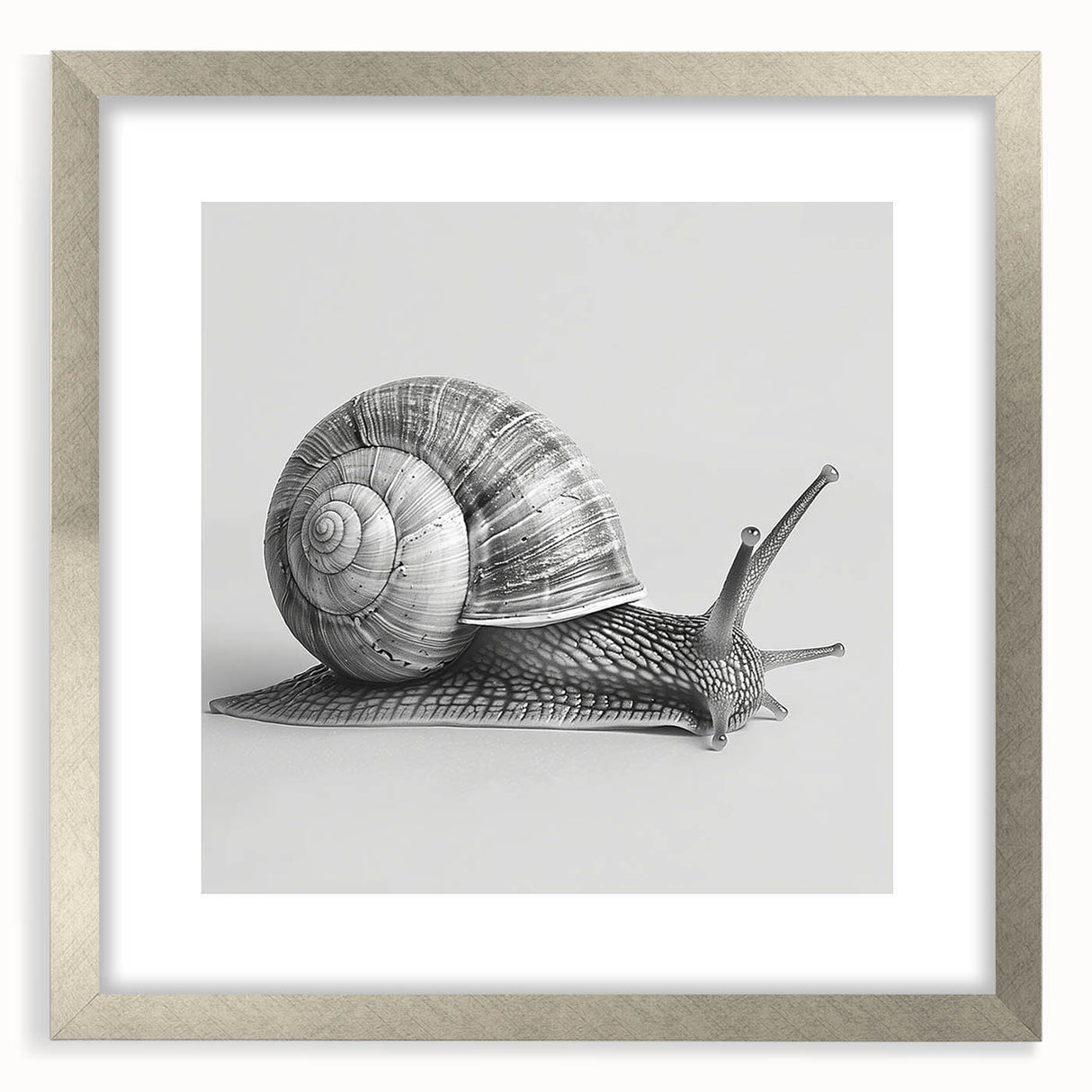 Framed wall art featuring a detailed illustration of a snail in a natural setting, set against a sleek silver frame with a white mat, perfect for wildlife-themed decor.