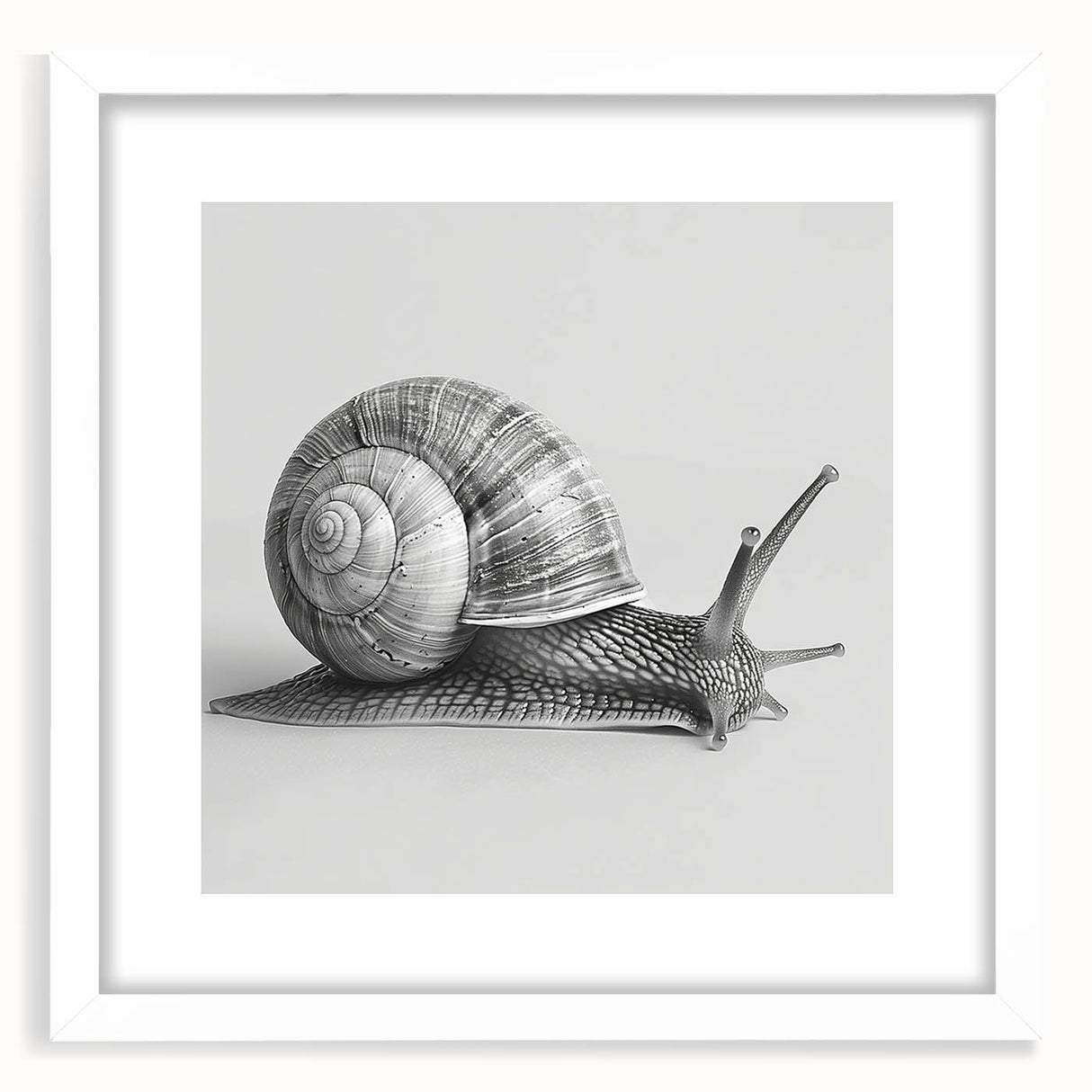 Framed wall art featuring a whimsical snail design in vibrant colors, set against a white mat for a modern aesthetic, ideal for animal-themed decor.