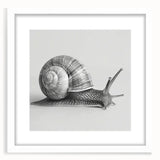 Framed wall art featuring a whimsical snail design in vibrant colors, set against a white mat for a modern aesthetic, ideal for animal-themed decor.