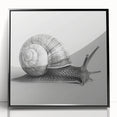 Framed wall art showcasing a whimsical snail design in vibrant colors, featuring a sleek black frame. Perfect for adding a playful touch to any home decor.