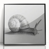 Framed wall art showcasing a whimsical snail design in vibrant colors, featuring a sleek black frame. Perfect for adding a playful touch to any home decor.