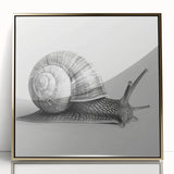Framed wall art showcasing a detailed snail design in vibrant colors, with a gold acrylic frame, perfect for nature-themed home decor.