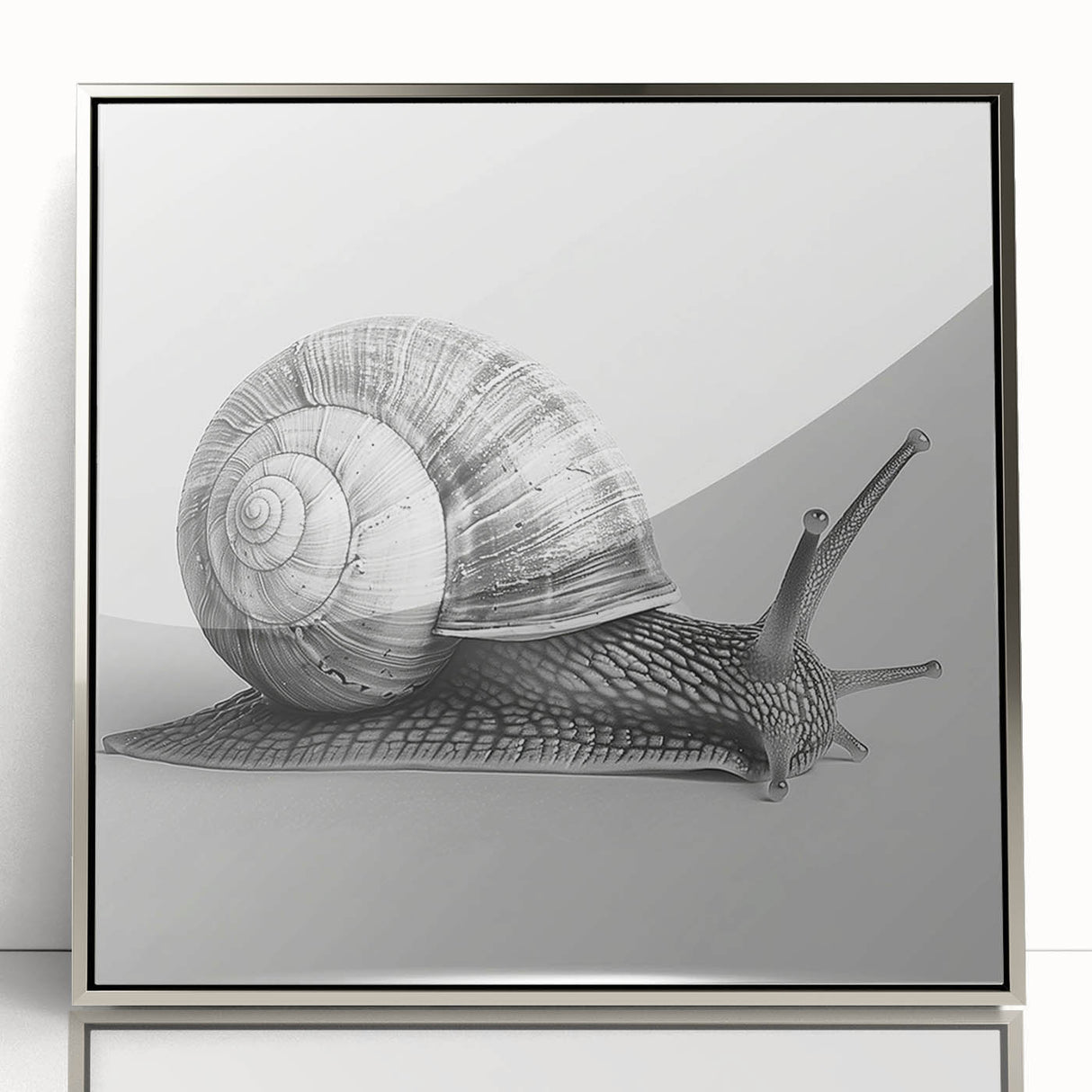 Framed acrylic wall art featuring a detailed snail design in silver tones, showcasing intricate patterns against a minimalist background, perfect for nature enthusiasts.