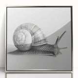 Framed acrylic wall art featuring a detailed snail design in silver tones, showcasing intricate patterns against a minimalist background, perfect for nature enthusiasts.