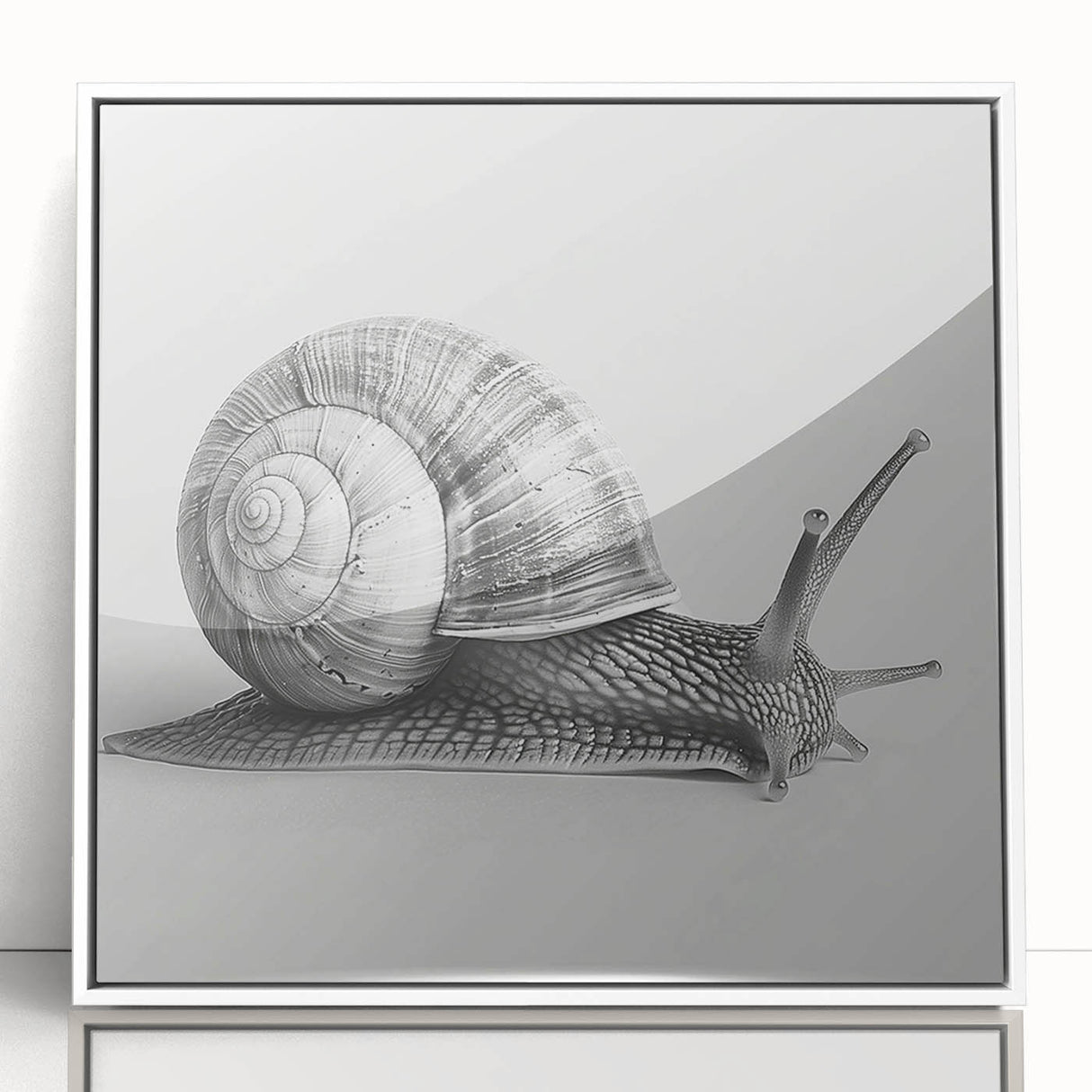 Framed acrylic wall art featuring a whimsical snail design in vibrant colors, presented in a sleek white frame, ideal for nature-themed decor.