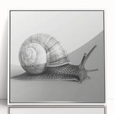 Framed acrylic wall art featuring a whimsical snail design in vibrant colors, presented in a sleek white frame, ideal for nature-themed decor.