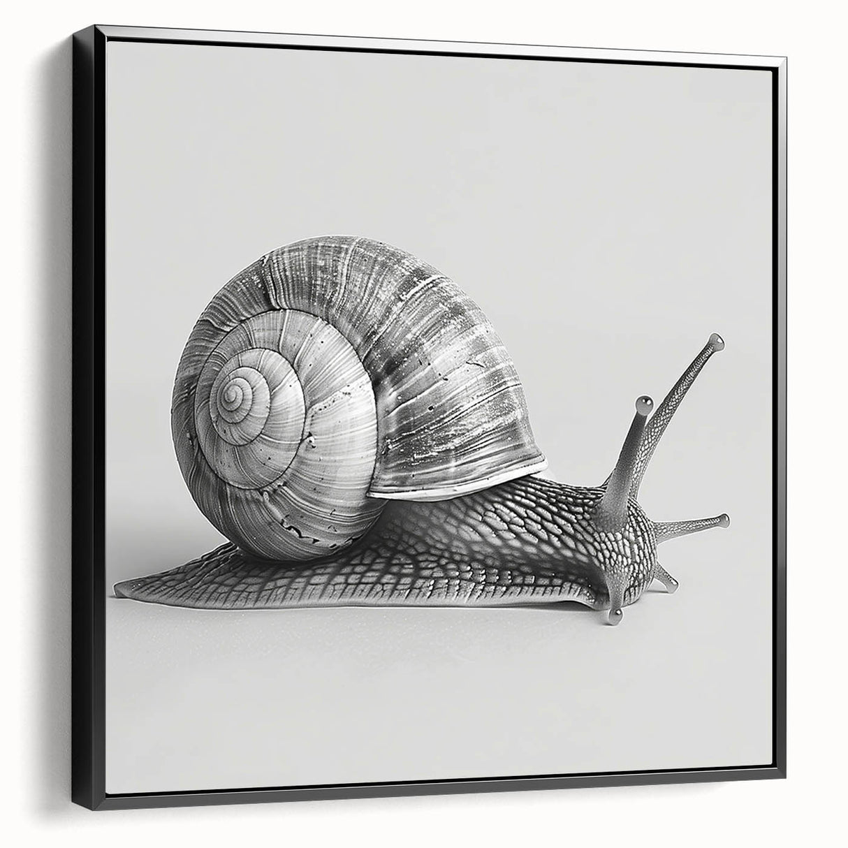 Framed wall art featuring a vibrant snail design in a modern style, showcasing intricate details and bold colors, perfect for nature lovers’ home decor.