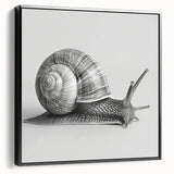 Framed wall art featuring a vibrant snail design in a modern style, showcasing intricate details and bold colors, perfect for nature lovers’ home decor.