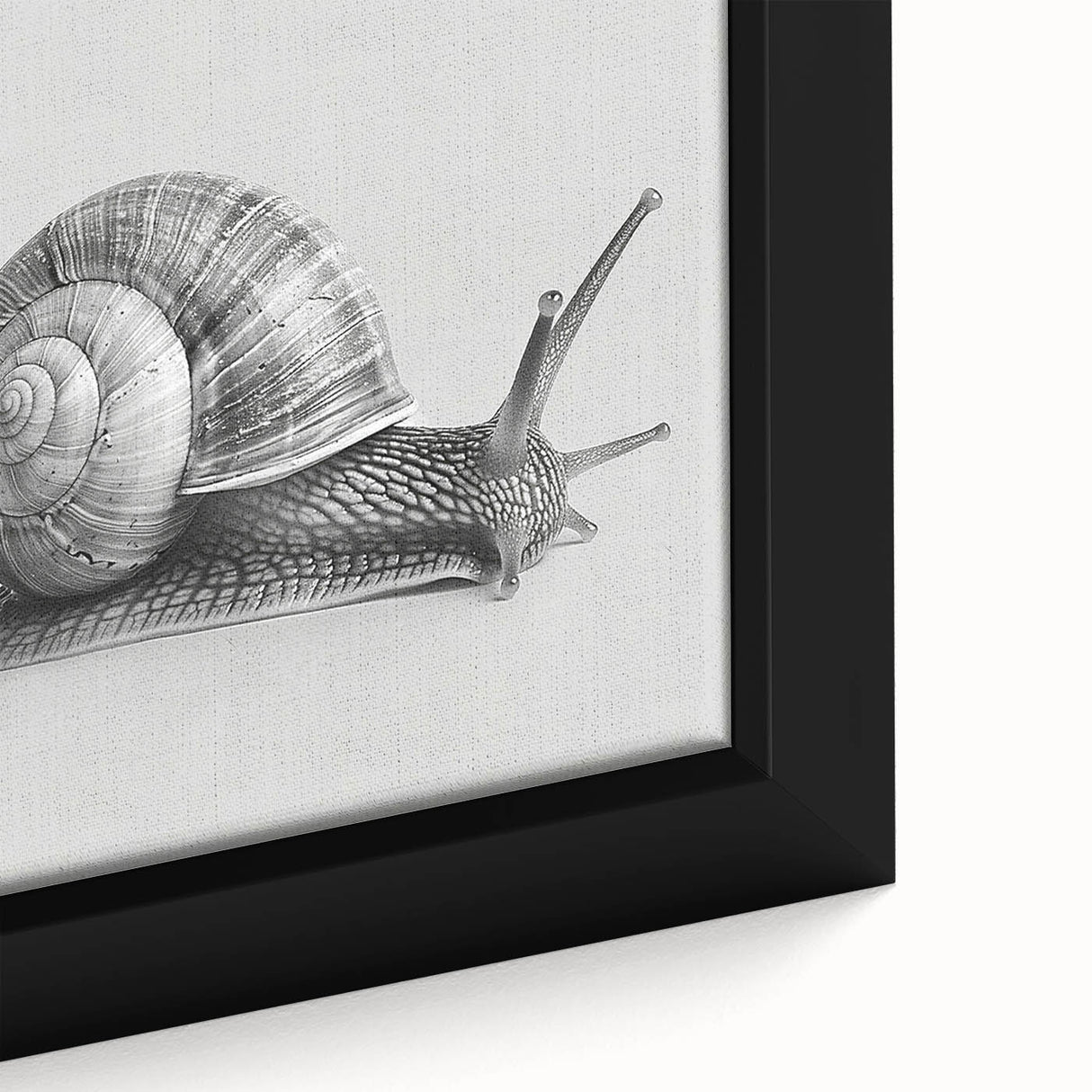 Close-up of a vibrant framed canvas wall art featuring a detailed snail design, showcasing rich colors and intricate textures, perfect for nature enthusiasts.