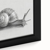 Close-up of a vibrant framed canvas wall art featuring a detailed snail design, showcasing rich colors and intricate textures, perfect for nature enthusiasts.