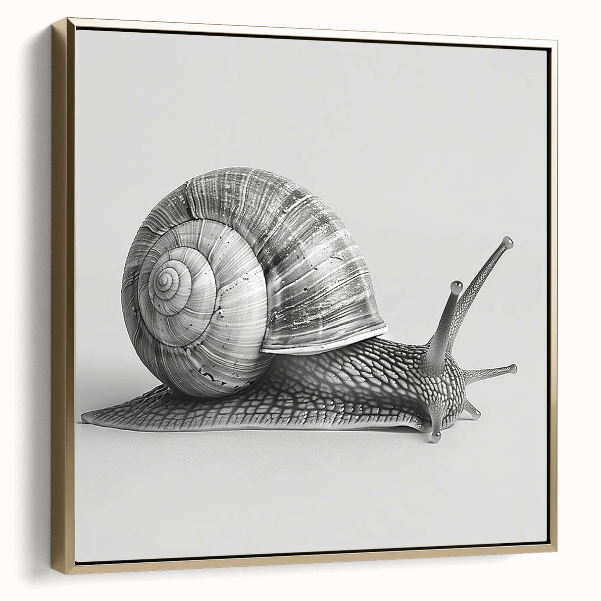 Framed canvas wall art featuring a detailed gold snail design on a textured background, showcasing intricate patterns and elegant colors that enhance any decor.