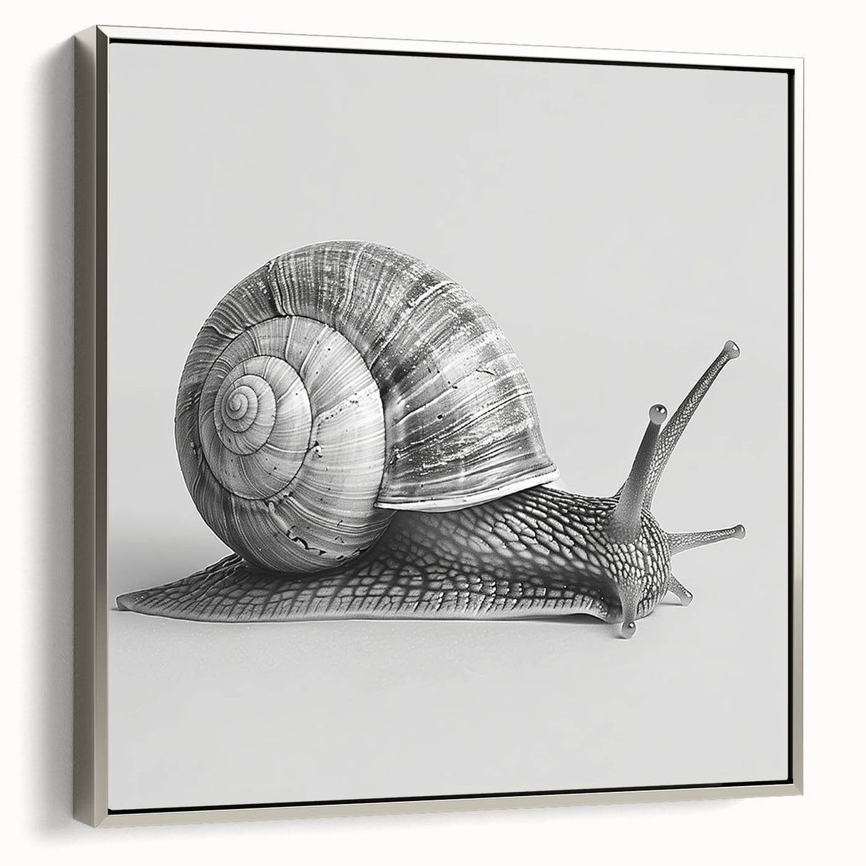 Framed wall art featuring a detailed design of a snail, showcasing vibrant colors and intricate patterns, perfect for nature enthusiasts and modern decor.