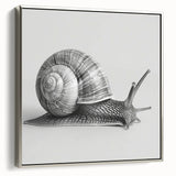 Framed wall art featuring a detailed design of a snail, showcasing vibrant colors and intricate patterns, perfect for nature enthusiasts and modern decor.