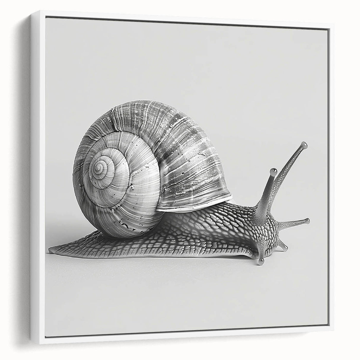 Colorful framed canvas wall art featuring a whimsical snail design against a white background, perfect for adding a playful touch to any room decor.