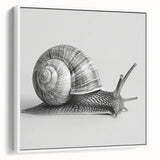 Colorful framed canvas wall art featuring a whimsical snail design against a white background, perfect for adding a playful touch to any room decor.